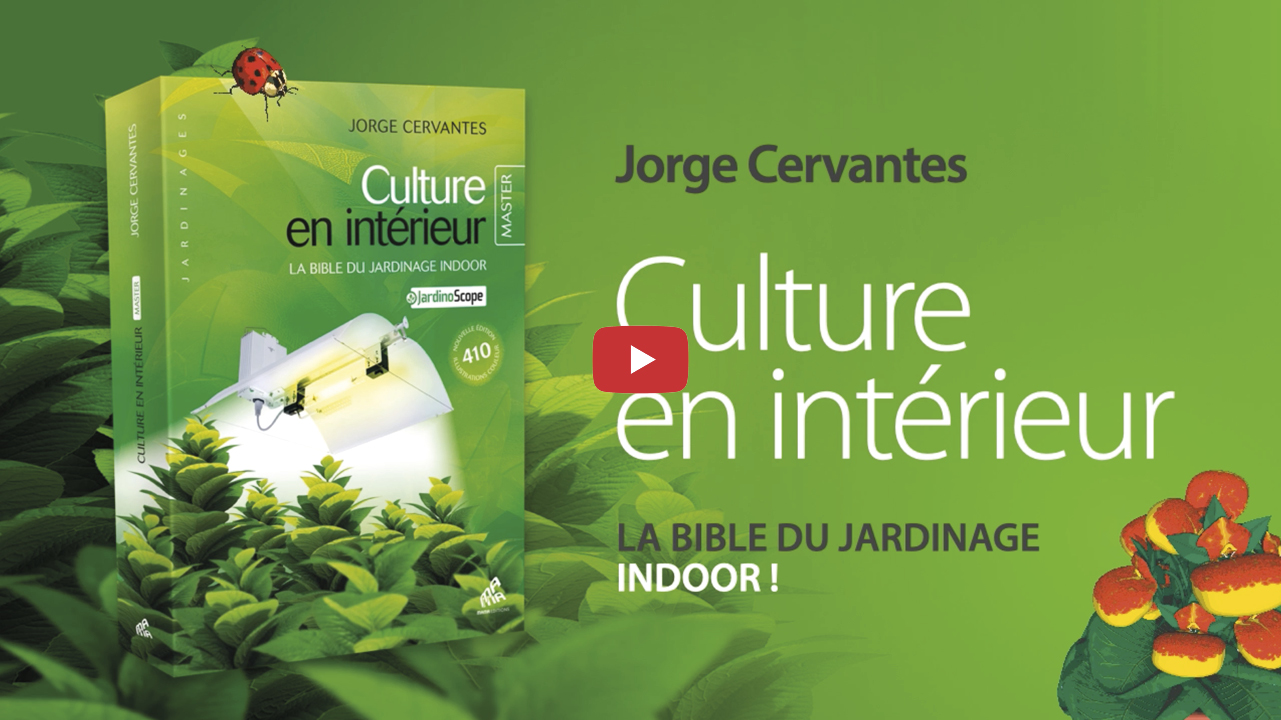 À propos de «Culture en intérieur» de Jorge Cervantes